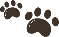 Home Pet Care